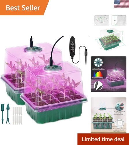 Indoor plant propagation - plant,